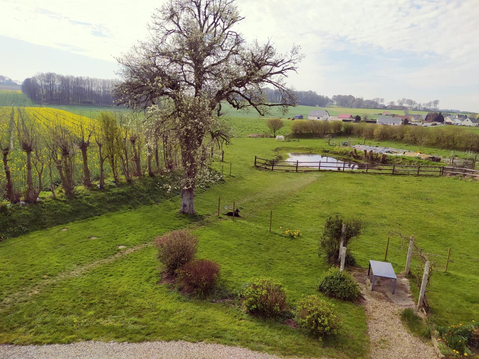 Chambres D'Hotes " Le Clos Des Colimacons " Maniquerville Bagian luar foto